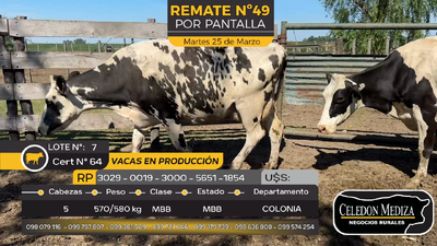 Lote 5 Vacas Preñadas Holando en Estanzuela, Colonia
