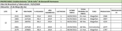 Lote Lote 12