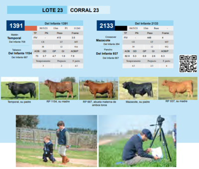 Lote CORRAL 23