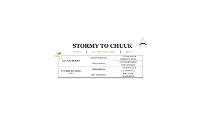 Lote STORMY TO CHUCK (CHUCK BERRY - STORMY TO SEND)
