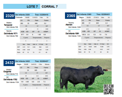 Lote Corral 7