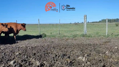 Lote Lote 23 A