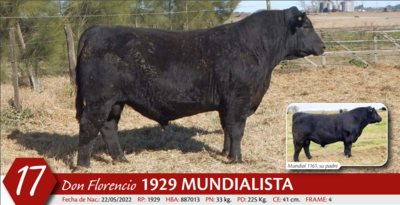 Lote MACHO PC