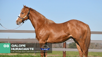 Lote Lote 3