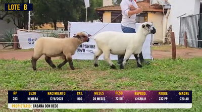 Lote LOTE 8