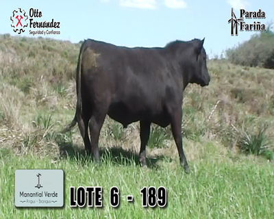 Lote LOTE 6