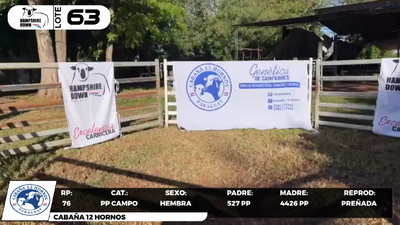 Lote LOTE 63- CAMPO