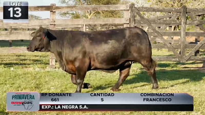 Lote LOTE 13