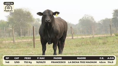 Lote LOTE 24