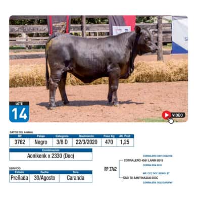 Lote Aonikenk x 2330 (Doc)