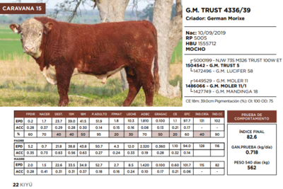 Lote G.M. TRUST 4336/39   (GRUPO 1)