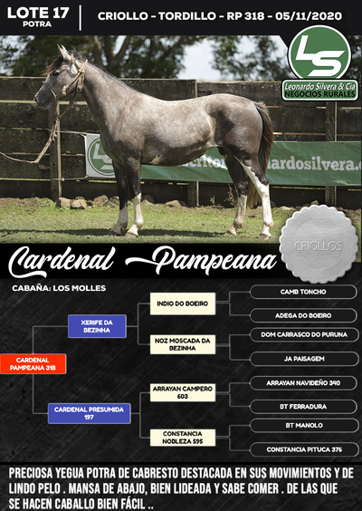 Lote CARDENAL PAMPEANA