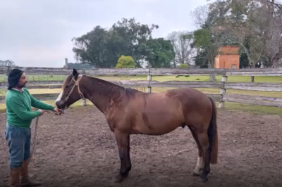Lote RP 47  El Chango Dos Aguas