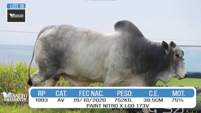 Lote LOTE 36