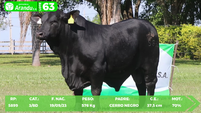 Lote LOTE 63