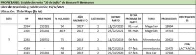 Lote Lote 3