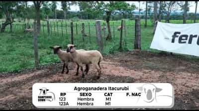 Lote LOTE 16 A CAMPO - RP A123- RP 123