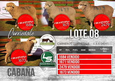 Lote LOTE 08