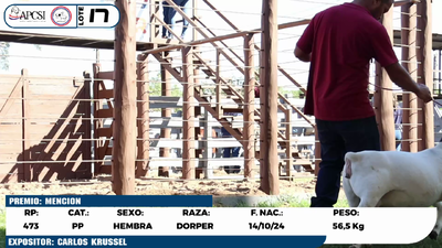Lote LOTE 17