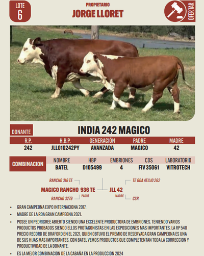 Lote LOTE 6