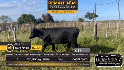 Lote 1 Toros en Juanicó, Canelones