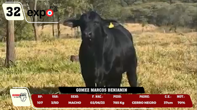 Lote LOTE 32