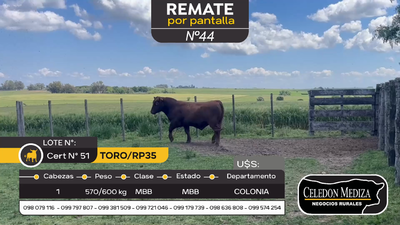 Lote Toro RP35 en Otra Localidad, Colonia