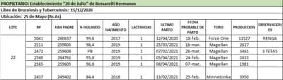 Lote Lote 22