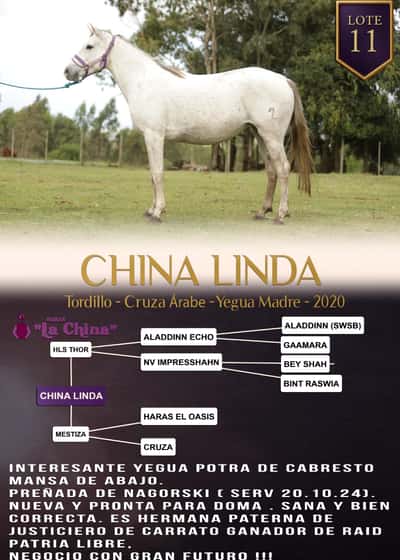 Lote CHINA LINDA