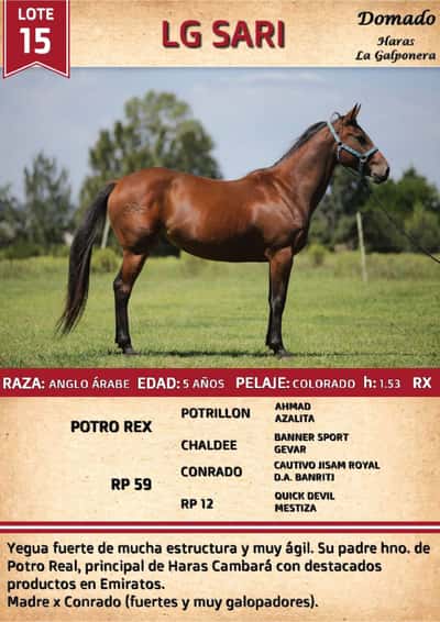 Lote LG SARI
