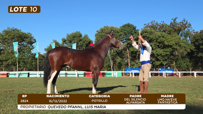 Lote LOTE 10