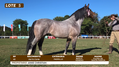 Lote LOTE 5