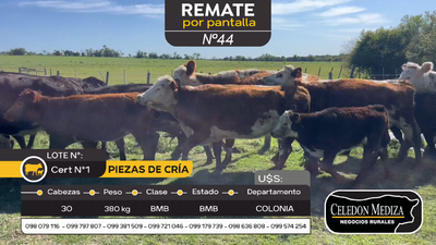 Lote 30 Piezas de cría en Carmelo, Colonia