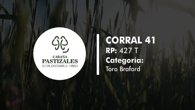 Lote Toro