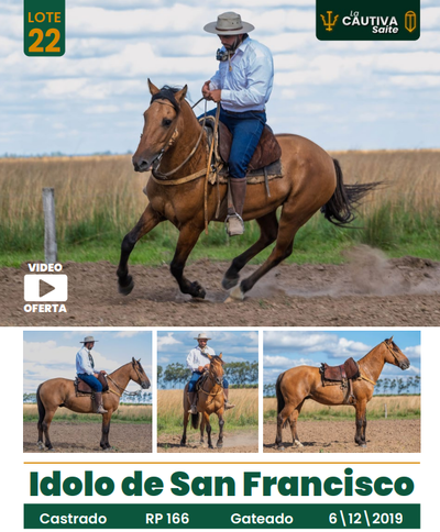 Lote LOTE 22