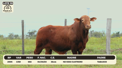 Lote LOTE 39