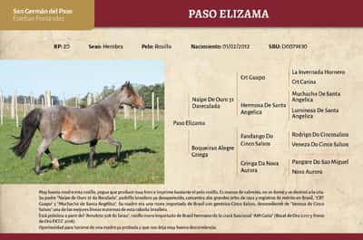 Lote Paso Elizama (RP 20) - Cabaña San Germán del Paso