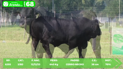 Lote LOTE 68