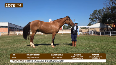 Lote LOTE 14