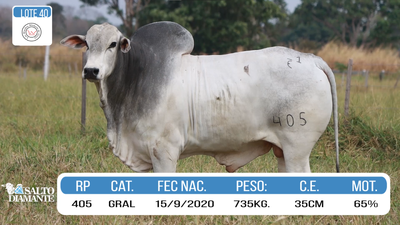 Lote LOTE 40