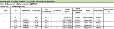 Lote Lote 11