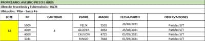 Lote Lote 32 Avelino Picco
