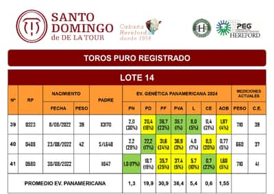 Lote TOROS PR (LOTES) - PR