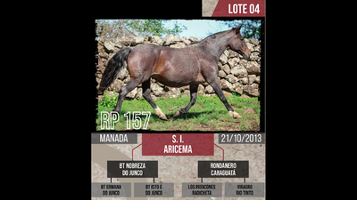 Lote S. I.  ARICEMA