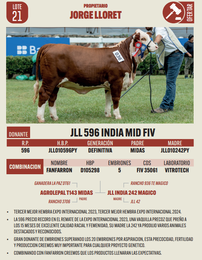 Lote LOTE 21