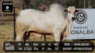 Lote LOTE 58