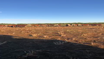 Lote 75 Vacas con 75 crías en Sunchales, Santa Fe