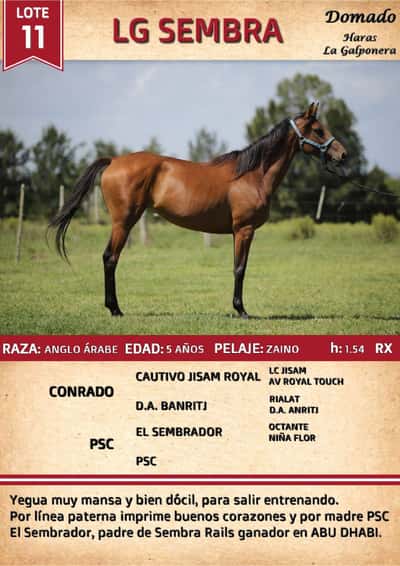 Lote LG SEMBRA