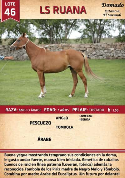 Lote LS RUANA