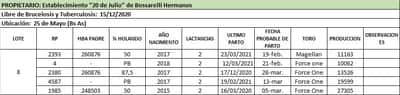 Lote Lote 8